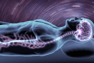 Best brain and spine injury lawyer